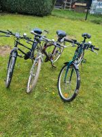 3 Fahrräder zu verkaufen Sachsen - Mittweida Vorschau