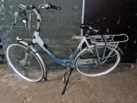 Gazelle E Bike elektro Fahrrad Nordrhein-Westfalen - Lüdinghausen Vorschau