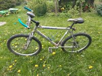 Mountainbike  golden oak Nordrhein-Westfalen - Bad Honnef Vorschau