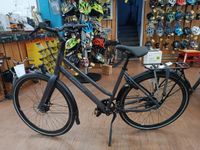 Batavus Dinsdag Exclusive Plus 11-Alfine Gates Riemen -40% Rabatt Baden-Württemberg - Karlsruhe Vorschau