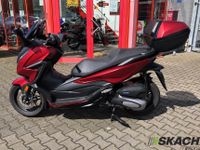 Honda Forza 125 mit TopCase - scheckheft gepflegt - Garantie Nordrhein-Westfalen - Dormagen Vorschau