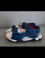 Levi's Sandalen Jungen blau Gr. 33 Harburg - Hamburg Neugraben Vorschau