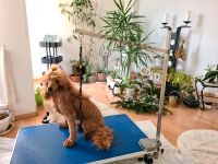 Galgen und Halterung für den Scherrtisch | Hunde | Pflege Brandenburg - Potsdam Vorschau