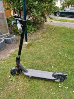 Segway Ninebot E Roller Sachsen - Zittau Vorschau