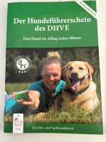 Der Hundeführerschein des DHVE München - Laim Vorschau