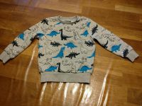 Kindersweatshirt Dinosaurier Gr. 116 Thüringen - Waltershausen Vorschau