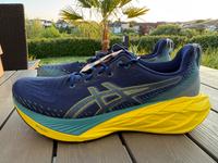 Asics Novablast 4 Neu Gr. 47 Laufschuh Herren Rheinland-Pfalz - Wittgert Vorschau