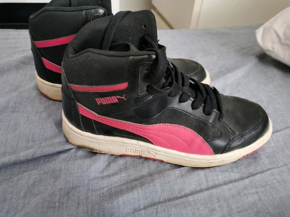 Puma High Sneaker, Gr. 38, Festival Look in Oberhausen