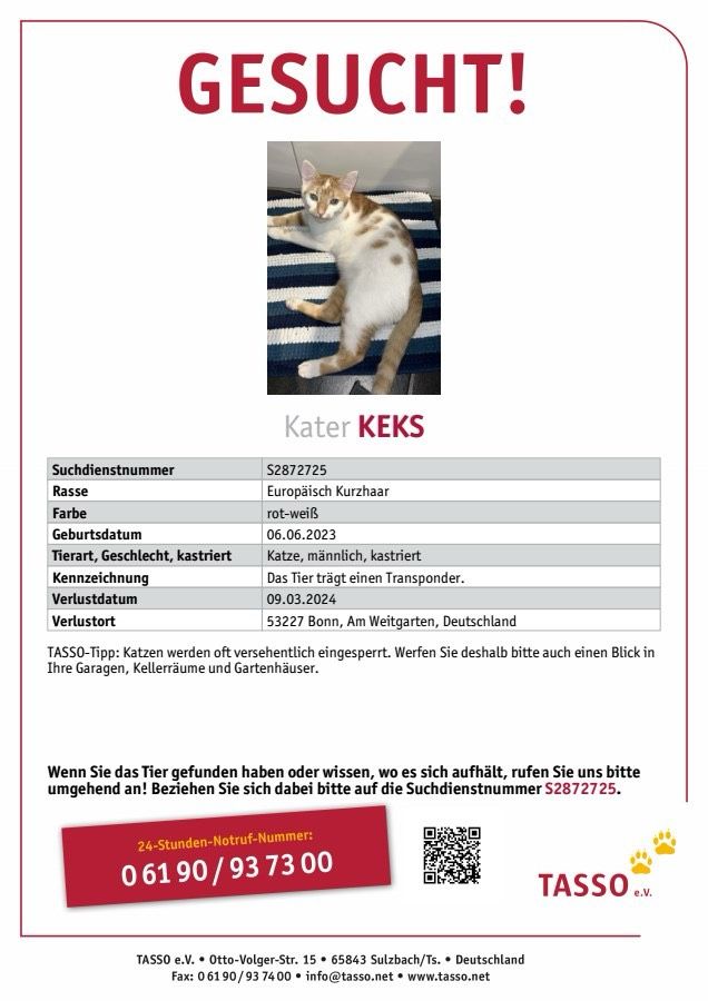 Katze vermisst! FINDERLOHN in Bonn
