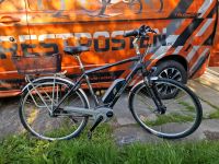 Diamant Herren E-Bike BOSCH Aktive 400Wh Intuvia - nur 260km! Mecklenburg-Vorpommern - Ahrenshagen-Daskow Vorschau