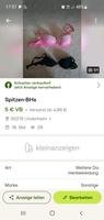 BHs Büstenhalter Rheinland-Pfalz - Undenheim Vorschau