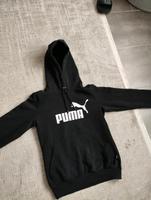 Herren Unisix Damen Jugendliche Hoodie Puma Saarland - Überherrn Vorschau