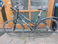 Pegasus Fahrrad Herren / Jugend / City Bike Bayern - Peißenberg Vorschau