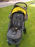 Buggy Joie mit Babywanne und Babyschalke/Auto Nordrhein-Westfalen - Greven Vorschau