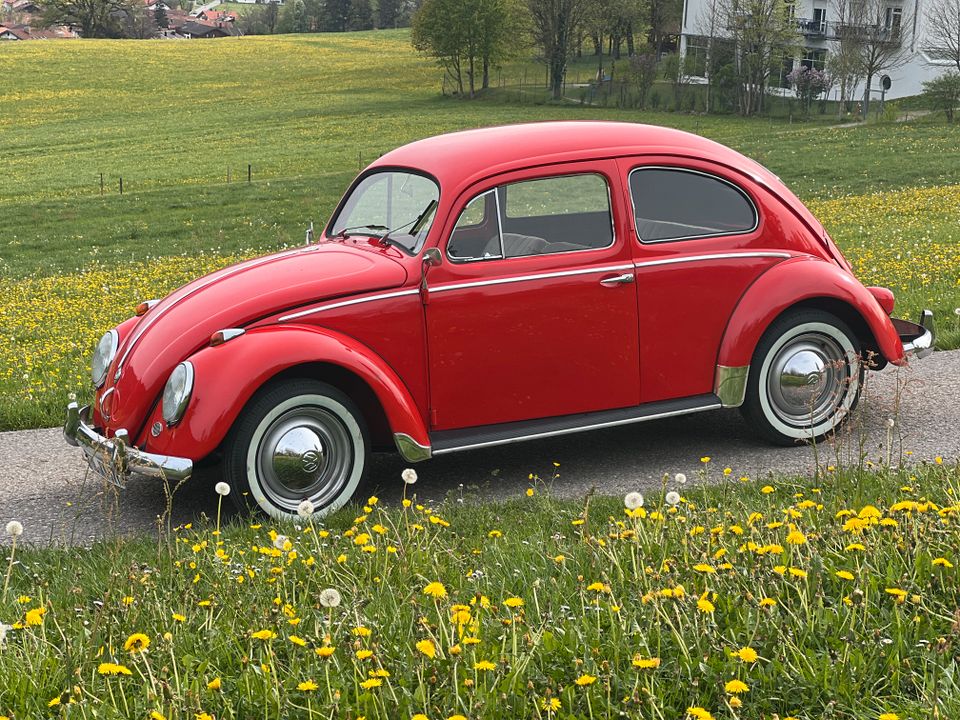 Volkswagen Käfer Export Ovali 1957, Winker, mit Papp Brief in Bad Tölz