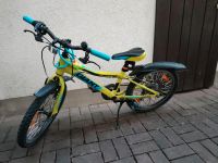 20" Zoll Kinderfahrrad, ca. 2 Jahre alt, Giant Thüringen - Bad Langensalza Vorschau