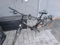 Herren Fahrrad Pegasus Piazza Nordrhein-Westfalen - Extertal Vorschau