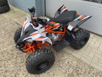 Kinderquad ACCESS MINISPORT 110 - Neufahrzeug Nordwestmecklenburg - Landkreis - Grevesmuehlen Vorschau