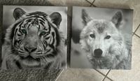 Leinwand Tiger und Wolf 30 x 30 Nordrhein-Westfalen - Langenfeld Vorschau