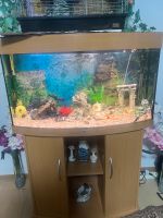 Aquarium mit unter Schrank+ Fische + Zubehör Hessen - Steinbach Vorschau