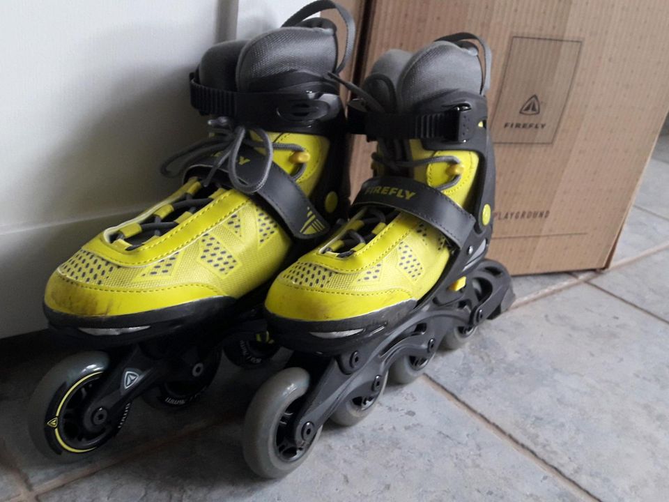 Inline Skater Gr. 37-40 in Hille