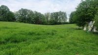 Gras oder Heu zu verkaufen Nordrhein-Westfalen - Solingen Vorschau