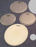 EVANS G1 coated G2 clear Fellset 10“ 12“ 14“Snare Tom Fell Rheinland-Pfalz - Platten Vorschau