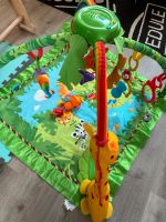 Spielbogen Fisher Price Babydecke Duisburg - Duisburg-Süd Vorschau