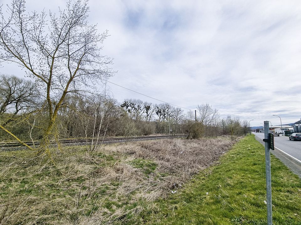 AUKTION: 1,6 ha Wald-/Landwirtschaftsfläche in Wutha-Farnroda