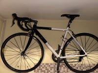 Rennrad Kinesis TDR, Dura-Ace komplett, FSA, Mavic Ksyrium, RH 52 Berlin - Mitte Vorschau