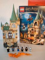 Lego Harry Potter Hogwarts 76413 Raum der Wünsche mit OVP Sachsen - Spitzkunnersdorf Vorschau