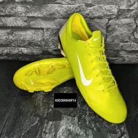 312606-311 Nike Mercurial Vapor III FG cactus/white Superfly Baden-Württemberg - Horb am Neckar Vorschau