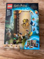 Lego Harry Potter Kräuterkundeunterricht 76384 Hessen - Bensheim Vorschau