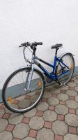 Fahrrad/Damenrad der Marke Nishiki Bayern - Rednitzhembach Vorschau