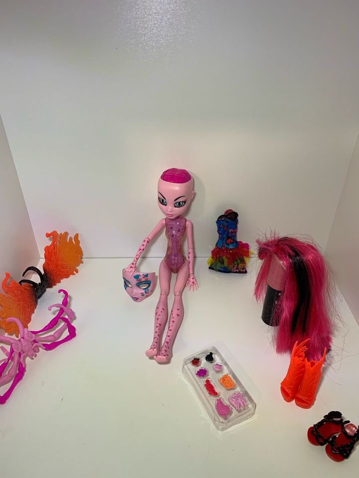 Monster High Puppe zum Ankleiden in Flintbek