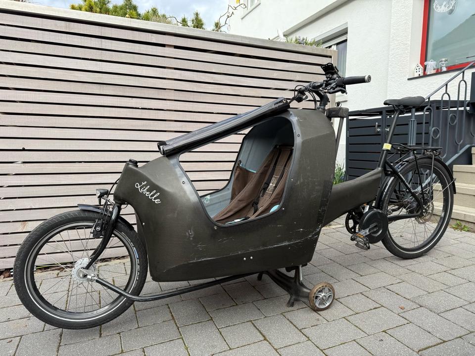 Lastenrad aus Carbon / teilbar und als Anhänger extra nutzbar in Stuttgart