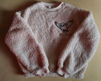 H&M Harry Potter Pullover Gr. 170 eher 164 Hedwig kuschelig Pulli Baden-Württemberg - Bruchsal Vorschau