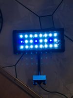 LED für Nano Aquarium Niedersachsen - Rosdorf Vorschau
