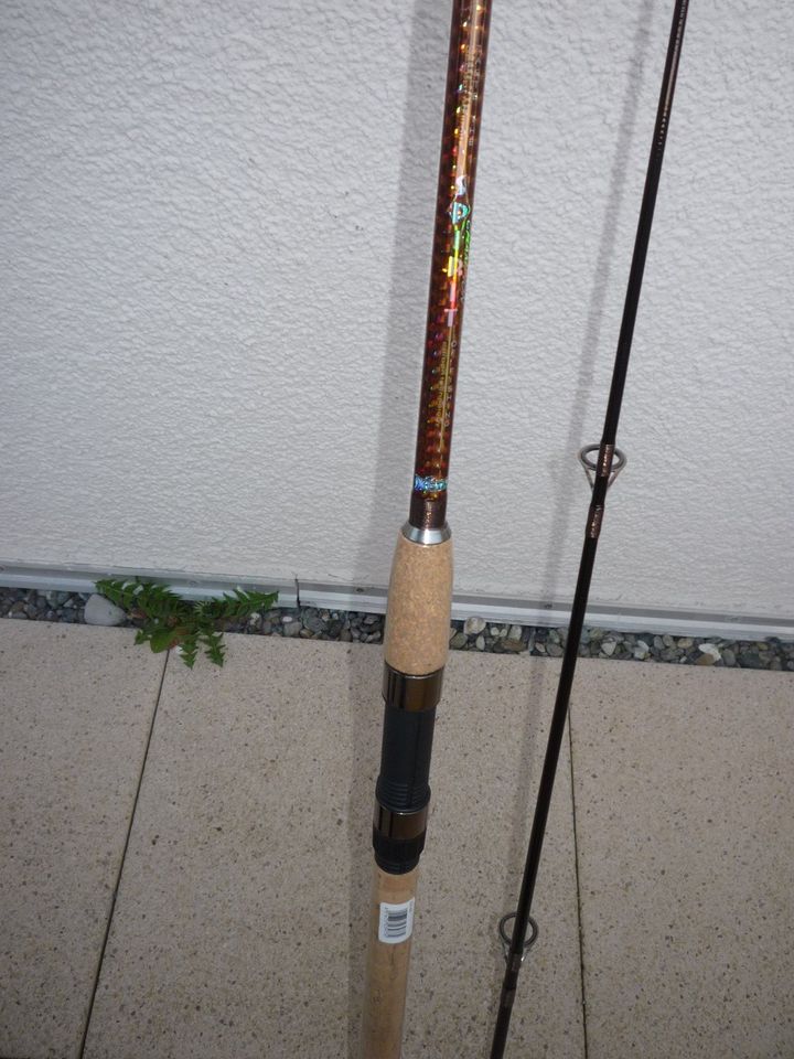 Angeln Rute Spinrute Exori Championclass 285cm, WG -38gr, NEU in Ratshausen