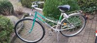 Damenrad Hercules Vintage fahrrad Niedersachsen - Buchholz in der Nordheide Vorschau
