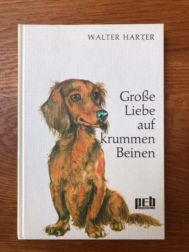 Große Liebe auf krummen Beinen - Walter Harter / Dackel /  1970 in Bad Kreuznach