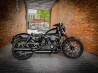 Harley Davidson Iron 11186 Km 2015 Vivid Black Hamburg Barmbek - Hamburg Barmbek-Süd  Vorschau