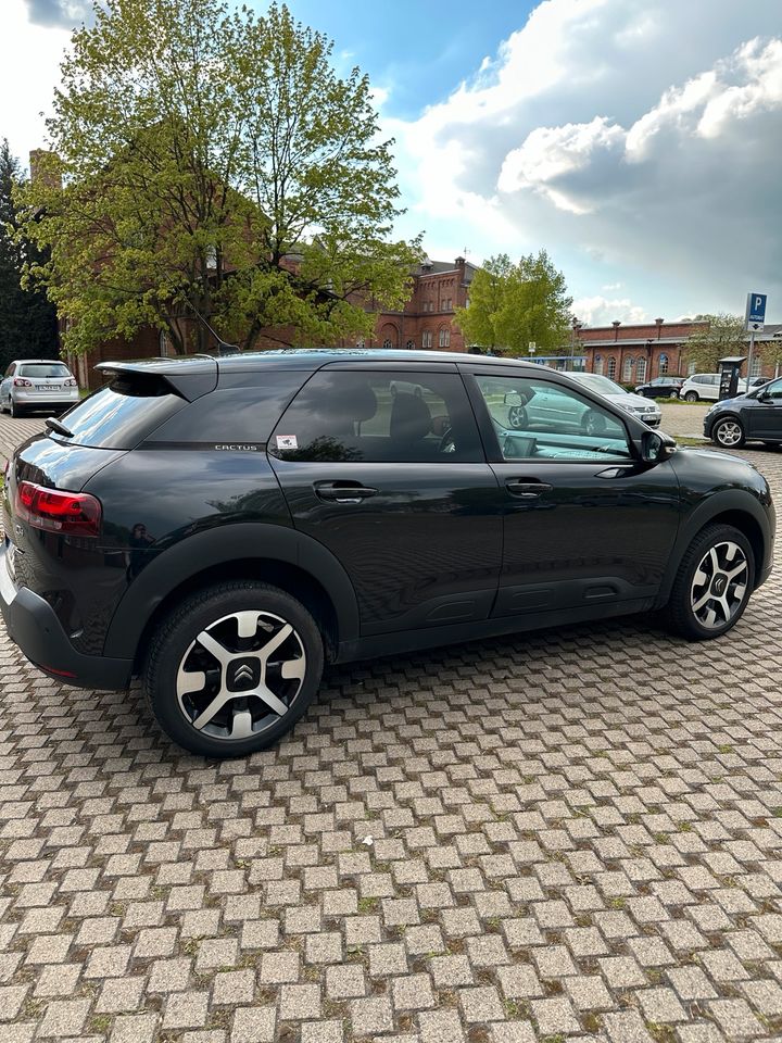 Citroen C4 Cactus Shine in Delmenhorst