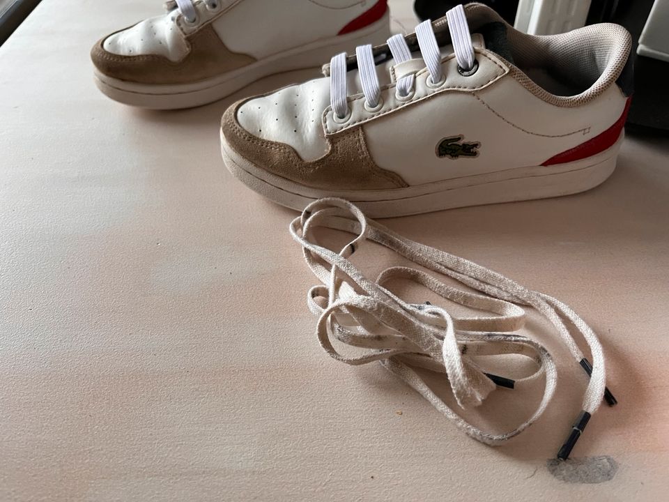 Lacoste Sneaker Schuh 31 in Vlotho