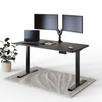 DESQUP Elektrisch höhenverstellbarer Schreibtisch | inkl. Versand | Standing Desk Stehtisch Schreibtisch höhenverstellbar elektrisch bürotisch stehschreibtisch adjustable desk München - Altstadt-Lehel Vorschau