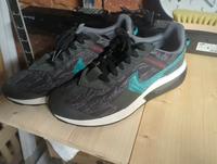 Nike Air Max Pre-Day XXXV 32W Schuhgröße 46 Sachsen - Lichtenstein Vorschau