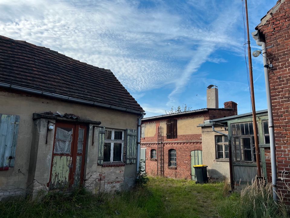 Charmanter Rohdiamant, Haus mit 5 Zimmern in Roßdorf in Genthin