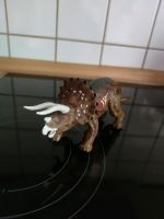 Triceratops Hasbro Jurassic park 3 Dinosaurier Bayern - Bayreuth Vorschau