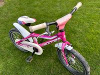 Bulls Mountainbike 16 Zoll pink Nordrhein-Westfalen - Iserlohn Vorschau