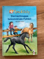 Buch Sternschnuppe bekommt ein Fohlen von Lesekönig Baden-Württemberg - Marbach am Neckar Vorschau